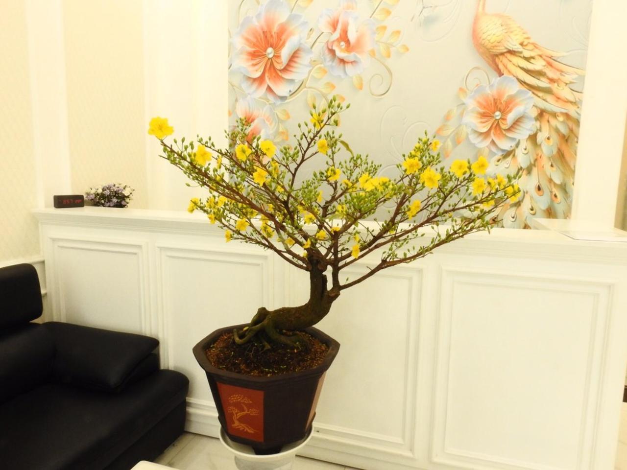 Daisy Hotel Ho Chi Minh City Bagian luar foto